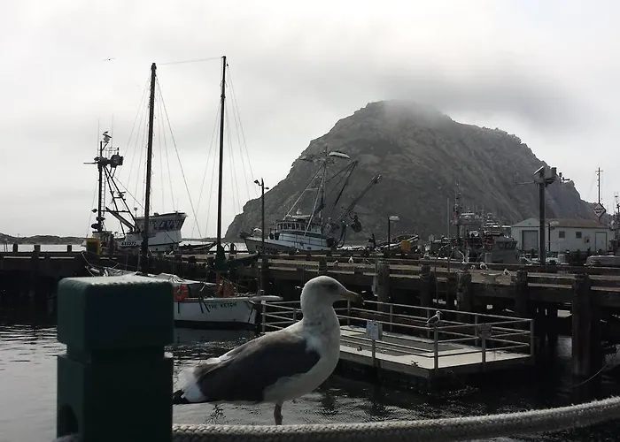 Pelican Place In Morro Bay